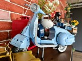Daylight samples, main camera (1x), 50MP - f/1.9, ISO 294, 1/50s - vivo X200 FE review