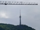  400mm - f/2.3, ISO 50, 1/487s - vivo X200 Ultra review