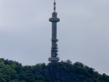  800mm - f/2.3, ISO 50, 1/433s - vivo X200 Ultra review