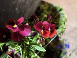 Low-light samples, main camera (35mm) - f/1.7, ISO 3936, 1/14s - vivo X200 Ultra review