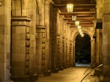 Low-light samples, telephoto camera (85mm) - f/2.3, ISO 1831, 1/25s - vivo X200 Ultra review