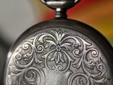 Closeup samples, telephoto camera (135mm) - f/2.3, ISO 158, 1/100s - vivo X200 Ultra review