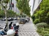 vivo X300 Pro main camera - f/1.6, ISO 72, 1/3175s - vivo X300 Pro hands-on review