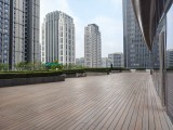 vivo X300 main camera - f/1.7, ISO 50, 1/1071s - vivo 300 hands-on review
