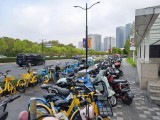 vivo X300 main camera - f/1.7, ISO 50, 1/134s - vivo 300 hands-on review