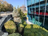 Daylight samples, ultrawide camera (0.6x) - f/2.0, ISO 94, 1/100s - vivo X300 Pro review