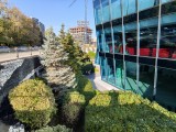 Daylight samples, ultrawide camera (0.6x), 50MP - f/2.0, ISO 50, 1/190s - vivo X300 Pro review