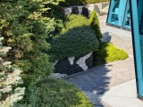 Daylight samples, telephoto camera (3.5x) - f/2.7, ISO 50, 1/110s - vivo X300 Pro review