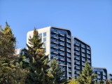Daylight samples, telephoto camera (3.5x) - f/2.7, ISO 50, 1/181s - vivo X300 Pro review