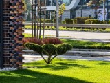 Daylight samples, telephoto camera (7x) - f/2.7, ISO 100, 1/100s - vivo X300 Pro review