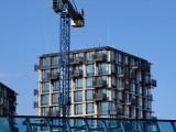Daylight samples, telephoto camera (7x) - f/2.7, ISO 50, 1/205s - vivo X300 Pro review