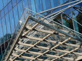 Daylight samples, telephoto camera (7x) - f/2.7, ISO 50, 1/146s - vivo X300 Pro review