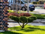 Daylight samples, telephoto camera (10x) - f/2.7, ISO 50, 1/252s - vivo X300 Pro review