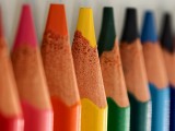 Close-up samples, telephoto camera (7x) - f/2.7, ISO 979, 1/100s - vivo X300 Pro review