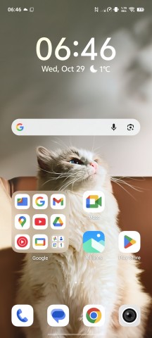 OriginOS 6 Homescreen - vivo X300 review - Vivo X300 review