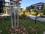 Origin Island - f/1.7, ISO 50, 1/289s - Vivo X300 review