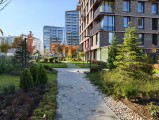 Origin Island - f/1.7, ISO 50, 1/101s - Vivo X300 review