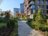 Daylight samples, main camera (1x), 50MP - f/1.7, ISO 50, 1/343s - Vivo X300 review