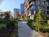 Daylight samples, main camera (1x), 20MP - f/1.7, ISO 50, 1/373s - Vivo X300 review