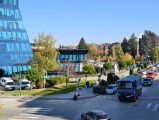 Daylight samples, main camera (2x) - f/1.7, ISO 50, 1/176s - Vivo X300 review