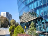 Daylight samples, main camera (2x) - f/1.7, ISO 50, 1/162s - Vivo X300 review