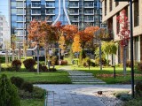 Daylight samples, telephoto camera 3x - f/2.6, ISO 72, 1/332s - Vivo X300 review