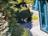 Daylight samples, telephoto camera (3x), 50MP - f/2.6, ISO 72, 1/494s - Vivo X300 review