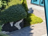 Daylight samples, telephoto camera 6x - f/2.6, ISO 70, 1/100s - Vivo X300 review
