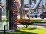 Daylight samples, telephoto camera 6x - f/2.6, ISO 58, 1/500s - Vivo X300 review