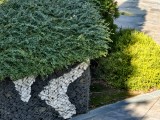 Daylight samples, telephoto camera 10x - f/2.6, ISO 92, 1/100s - Vivo X300 review