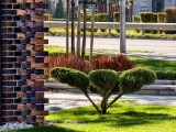 Daylight samples, telephoto camera 10x - f/2.6, ISO 54, 1/100s - Vivo X300 review