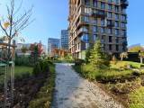 Daylight samples, ultrawide camera - f/2.0, ISO 80, 1/100s - Vivo X300 review