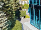 2x crop zoom daylight photos - f/1.7, ISO 50, 1/2182s - Xiaomi 17 Pro Max review