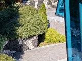 5x telephoto camera daylight photos - f/2.6, ISO 50, 1/316s - Xiaomi 17 Pro Max review