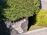 10x zoom crop daylight photos - f/2.6, ISO 50, 1/481s - Xiaomi 17 Pro Max review