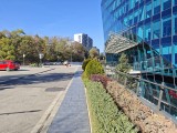 50MP main camera photos - f/1.7, ISO 50, 1/1859s - Xiaomi 17 Pro Max review