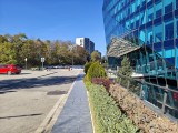 Main camera daylight photos - f/1.7, ISO 50, 1/1102s - Xiaomi 17 Pro Max review