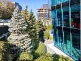 Main camera daylight photos - f/1.7, ISO 50, 1/1625s - Xiaomi 17 Pro Max review