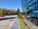 Main cameras: 15 Ultra - f/1.6, ISO 50, 1/625s - Xiaomi 17 Pro Max review