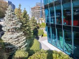 Main cameras: 15 Ultra - f/1.6, ISO 50, 1/229s - Xiaomi 17 Pro Max review
