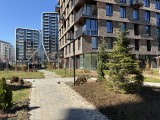 Daylight samples, rear camera (1x), 24MP - 26mm, f/1.6, ISO 25, 1/809s (5712x4284px) - Apple iPhone 17e review