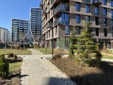 Daylight samples, rear camera (1x), 12MP - 26mm, f/1.6, ISO 20, 1/789s (4032x3024px) - Apple iPhone 17e review