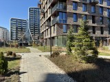 Daylight samples, rear camera (1x), 48MP - 26mm, f/1.6, ISO 20, 1/710s (8064x6048px) - Apple iPhone 17e review