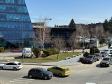 Daylight samples, rear camera (2x) - 52mm, f/1.6, ISO 20, 1/1272s (4032x3024px) - Apple iPhone 17e review