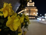 Low-light samples, rear camera (1x), auto Night mode - 26mm, f/1.6, ISO 640, 1/17s (5712x4284px) - Apple iPhone 17e review