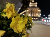 Low-light samples, rear camera (1x), max Night mode - 26mm, f/1.6, ISO 640, 1/17s (4032x3024px) - Apple iPhone 17e review