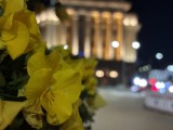 Low-light samples, rear camera (2x), auto Night mode - 52mm, f/1.6, ISO 500, 1/17s (4032x3024px) - Apple iPhone 17e review