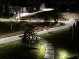 Low-light samples, rear camera (2x), max Night mode - 52mm, f/1.6, ISO 125, 1/4s (4032x3024px) - Apple iPhone 17e review