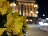 Low-light samples, rear camera (2x), max Night mode - 52mm, f/1.6, ISO 250, 1/8s (4032x3024px) - Apple iPhone 17e review