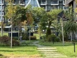 Daylight samples, telephoto camera (4x), 48MP - 100mm, f/2.8, ISO 50, 1/249s (8064x6048px) - Apple iPhone18 Pro Max review